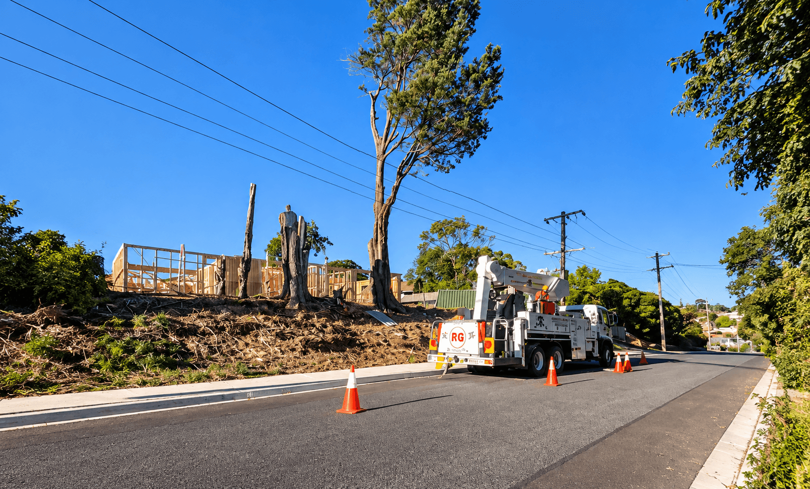 Emergency Tree Removal