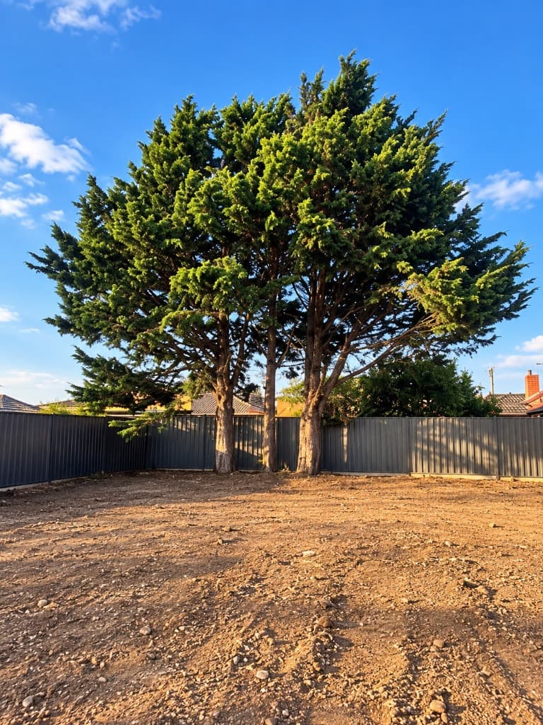 Cleared and graded building envelope with perimeter fencing in Townsville
